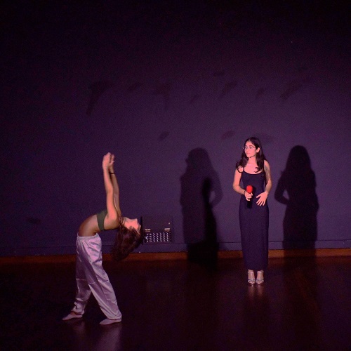 Desporto Escolar brilha em mais uma edição do Sarau de Dança