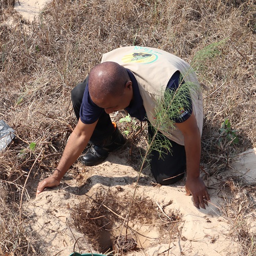 EPM-CELP assinala Semana do Turismo com ação ambiental na Costa do Sol