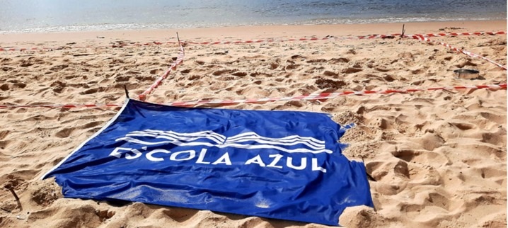 Escola azul bandeira