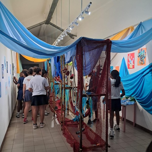 Exposição “Azul” alerta para preservação dos oceanos e dos corais 
