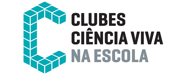 ccv logo