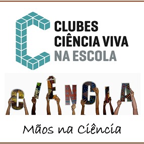 ic acesso